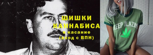 бошки Ладушкин
