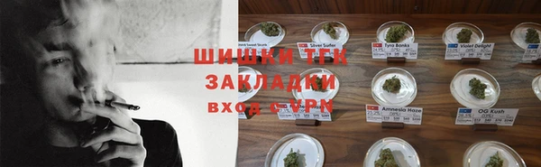 прущие грибы Лагань