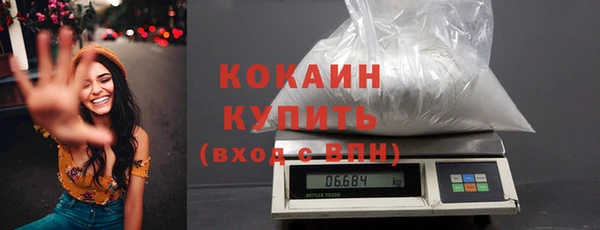 прущие грибы Лагань