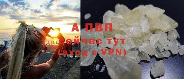 прущие грибы Лагань