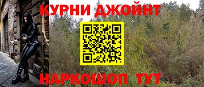 амф Кингисепп