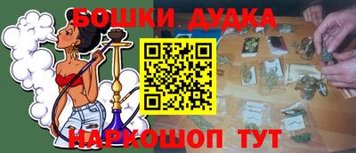 амф Кингисепп