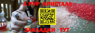 амф Кингисепп