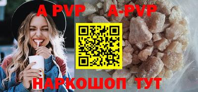 амф Кингисепп