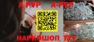 амф Кингисепп