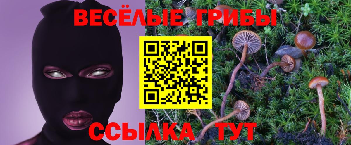 Галлюциногенные грибы Cubensis  Вход с VPN  Мелеуз 